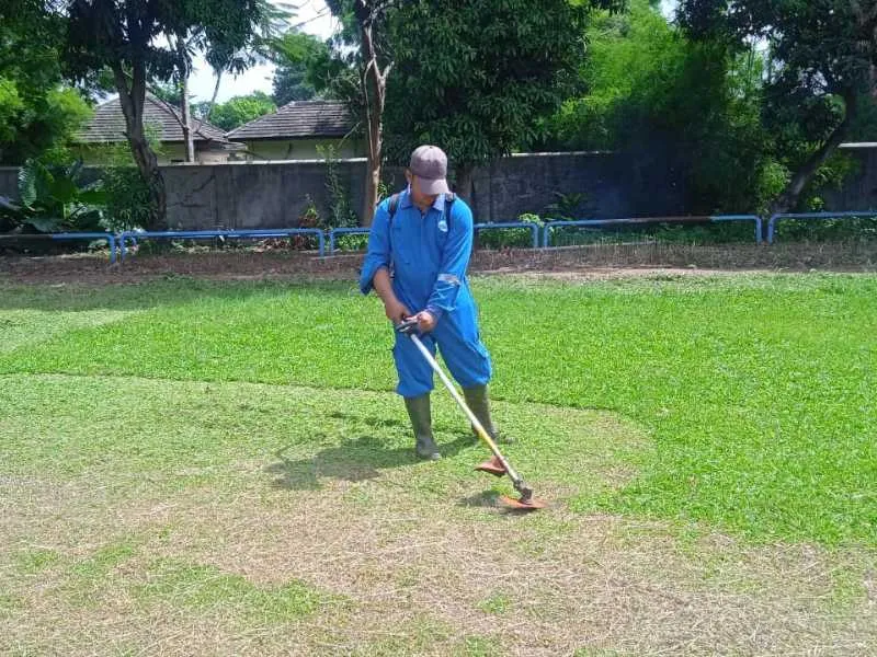 Jasa Potong Babat Rumput Profesional: Solusi Cepat dan Efektif untuk Taman Anda